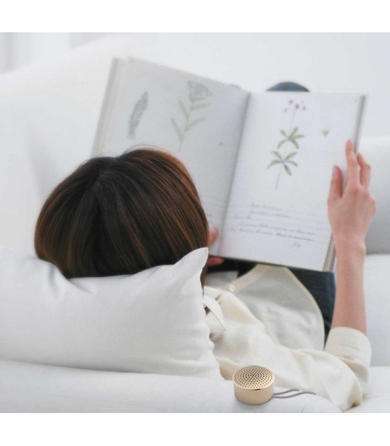 Xiaomi Mi Mini Enceinte Bluetooth sans fil en Aluminium - Doré