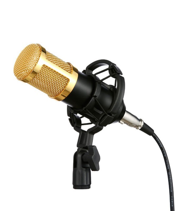 BM-800 Microphone professionnel USB avec carte son 3D Stereo integré et Mont Shock