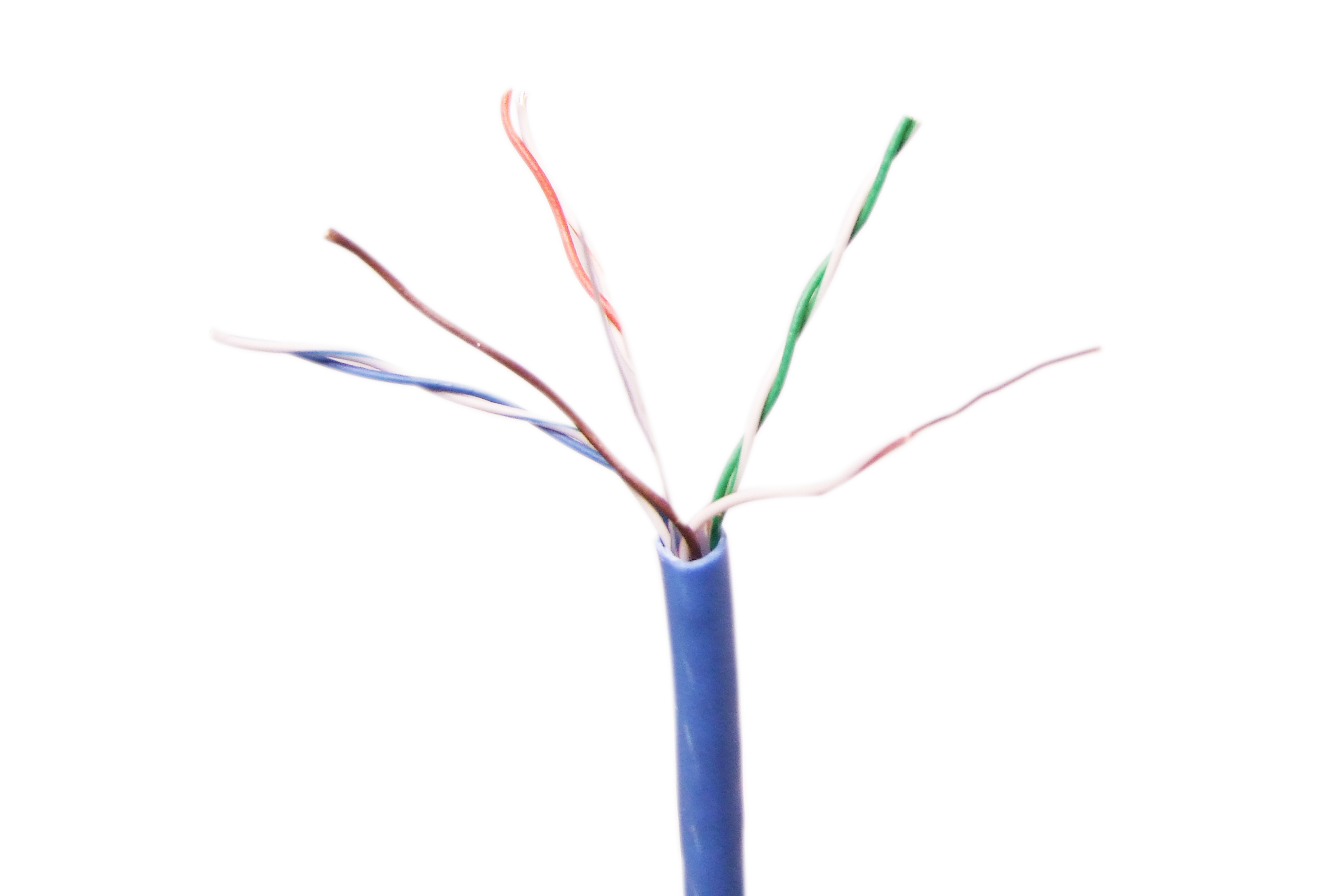 Bobine CAT6 Cable Reseaux 305m DI - Bleu