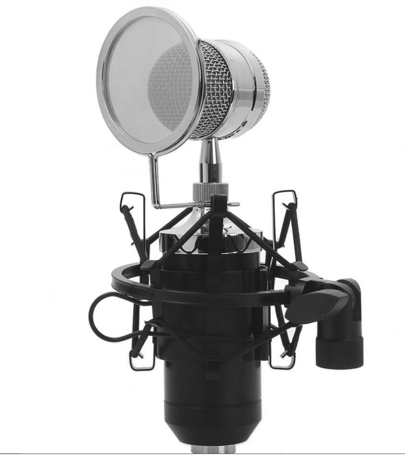 Microphone A Condensateur Unidirectionnel BM 8000 Noir, avec un Amortisseur Métal