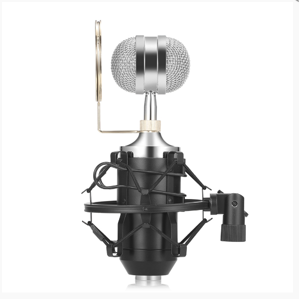 Microphone A Condensateur Unidirectionnel BM 8000S Noir, avec un Amortisseur Métal et Carte Son USB