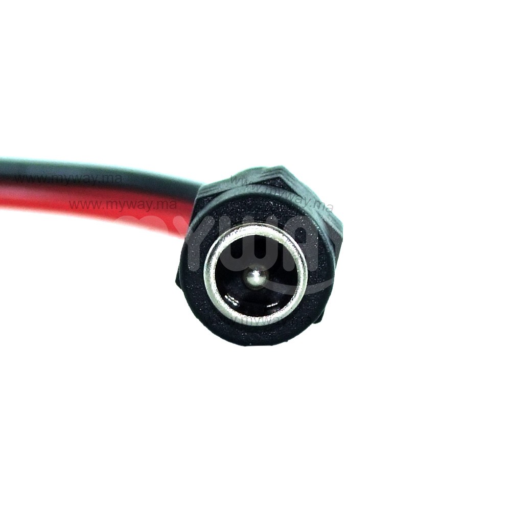 Prise D'ALIMENTATION CC FEMELLE 12V Pour CCTV Caméra