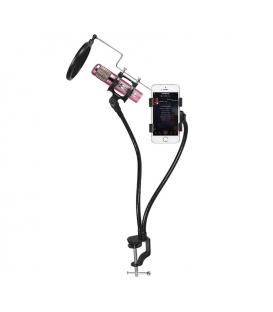 Support de Microphone Professionnel avec Support Portable et un Filtre Anti-Pop