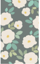 (Size:S; Pack 10) Back film ROCKSKIN - Refreshing Flower