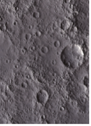 (Size:S; Pack 10) Back film ROCKSKIN - Moon