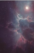 (Size:S; Pack 10) Back film ROCKSKIN - Nebula