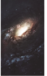 (Size:S; Pack 10) Back film ROCKSKIN - Universe Star