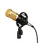 BM-800 Microphone professionnel USB avec carte son 3D Stereo integré et Mont Shock
