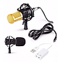 BM-800 Microphone professionnel USB