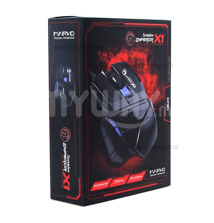Souris