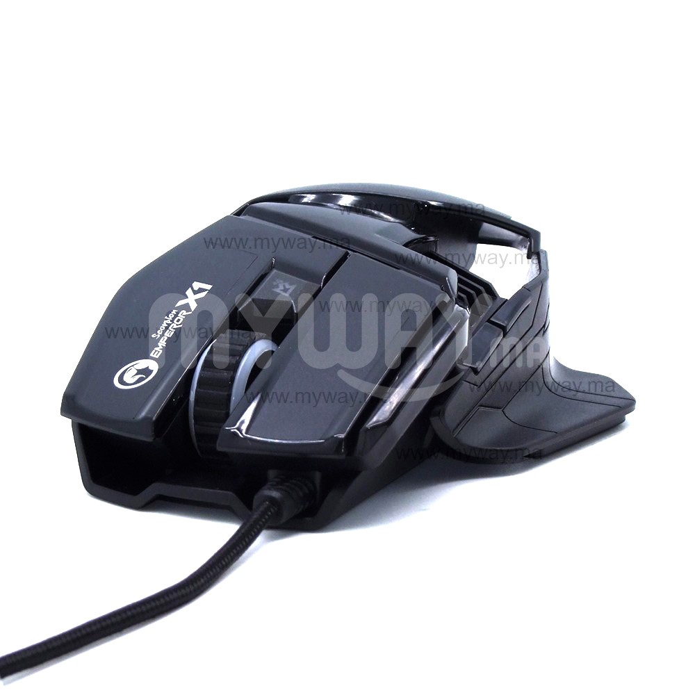 Souris