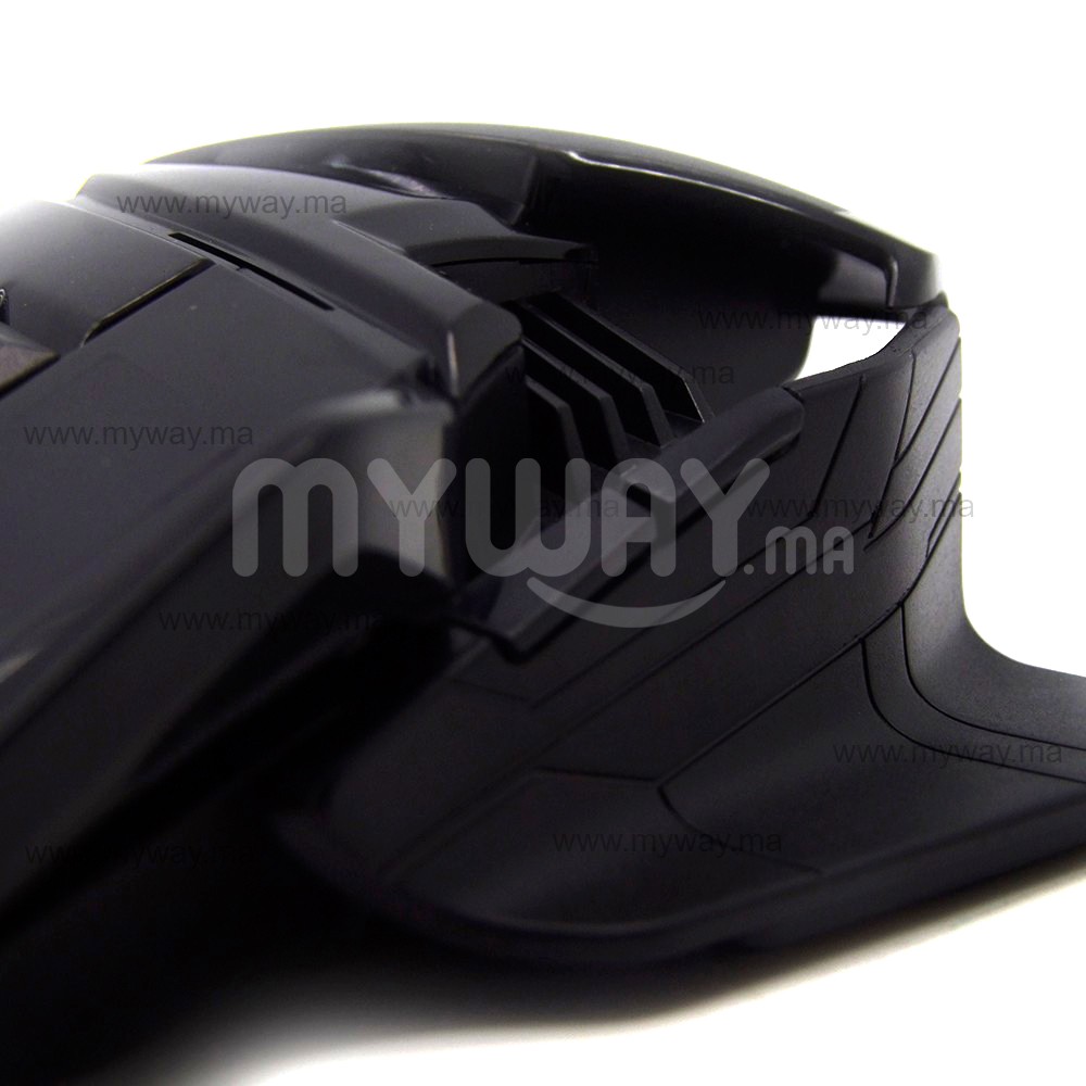 Souris