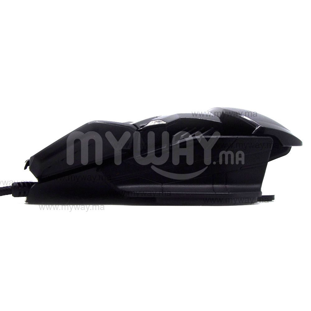 Souris