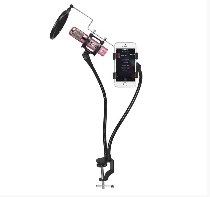 Support de Microphone Professionnel avec Support Portable et un Filtre Anti-Pop