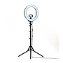 Anneau lumineux LED avec Trépied Support Pour La Photographie Caméra Photo/Studio/téléphone/vidéo